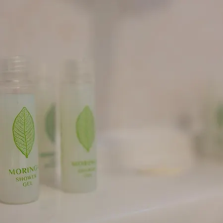 Vezyuva House بانسكو