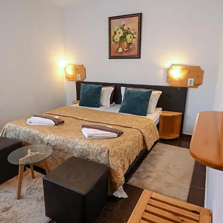 Vezyuva House Otel Bansko