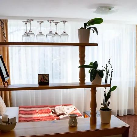 Vezyuva House 3* بانسكو