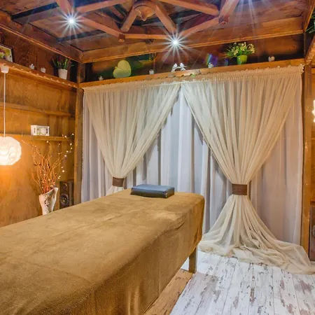 Vezyuva House 호텔 반스코