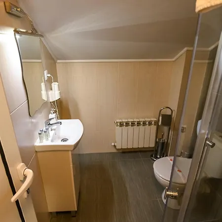 ホテル Vezyuva House 3*