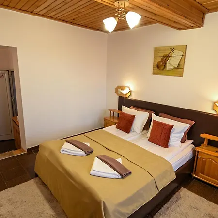 Hotel Veziova House