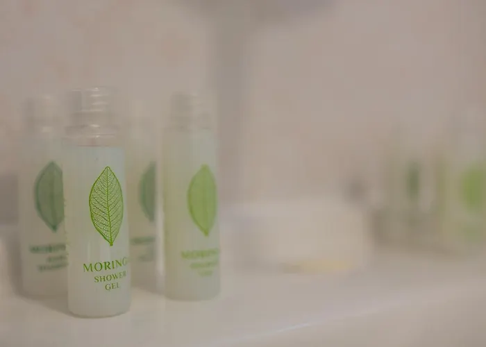 Vezyuva House Bansko